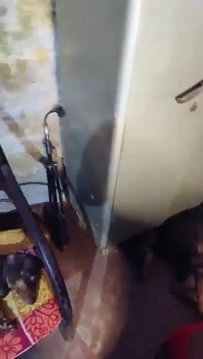 sister blowing brother