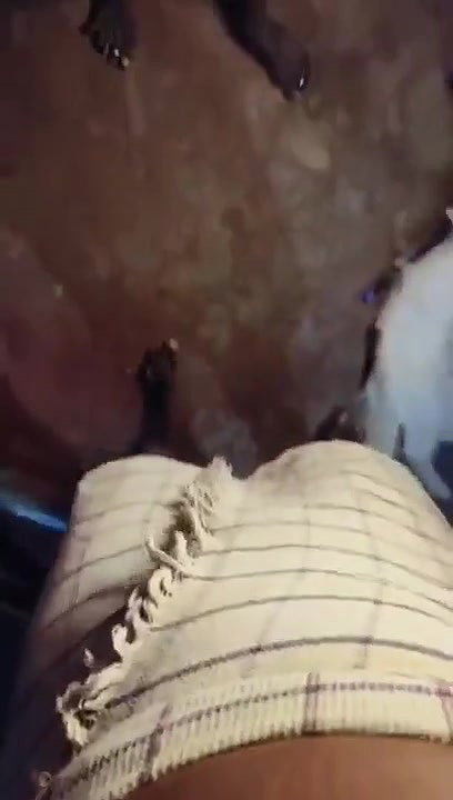 sister blowing brother