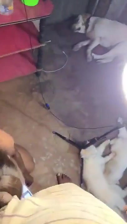 sister blowing brother