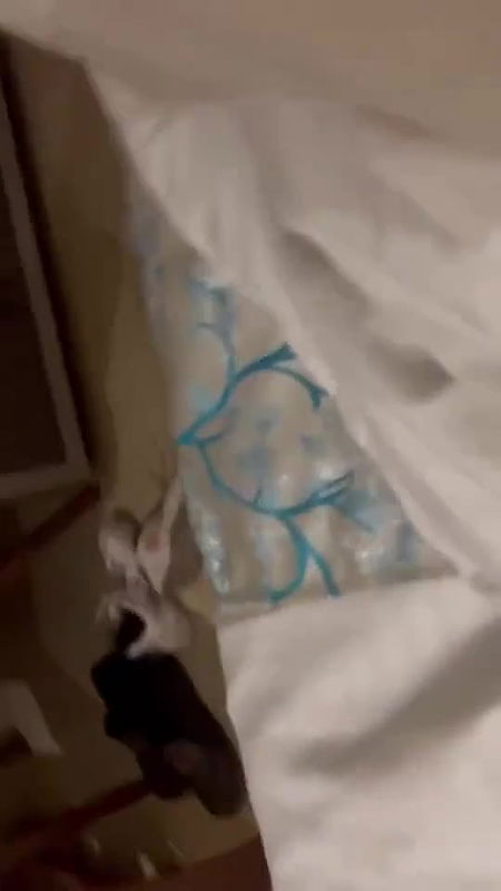 hotel mein khade khade chudai