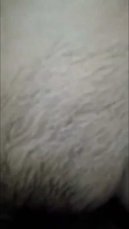 Innocent Milf Wet Pussy Fucking