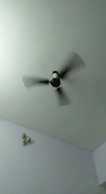 Desi sex MMS video leaked online