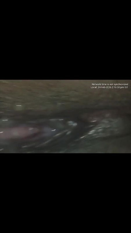 MP4 20260307 192113VLOG