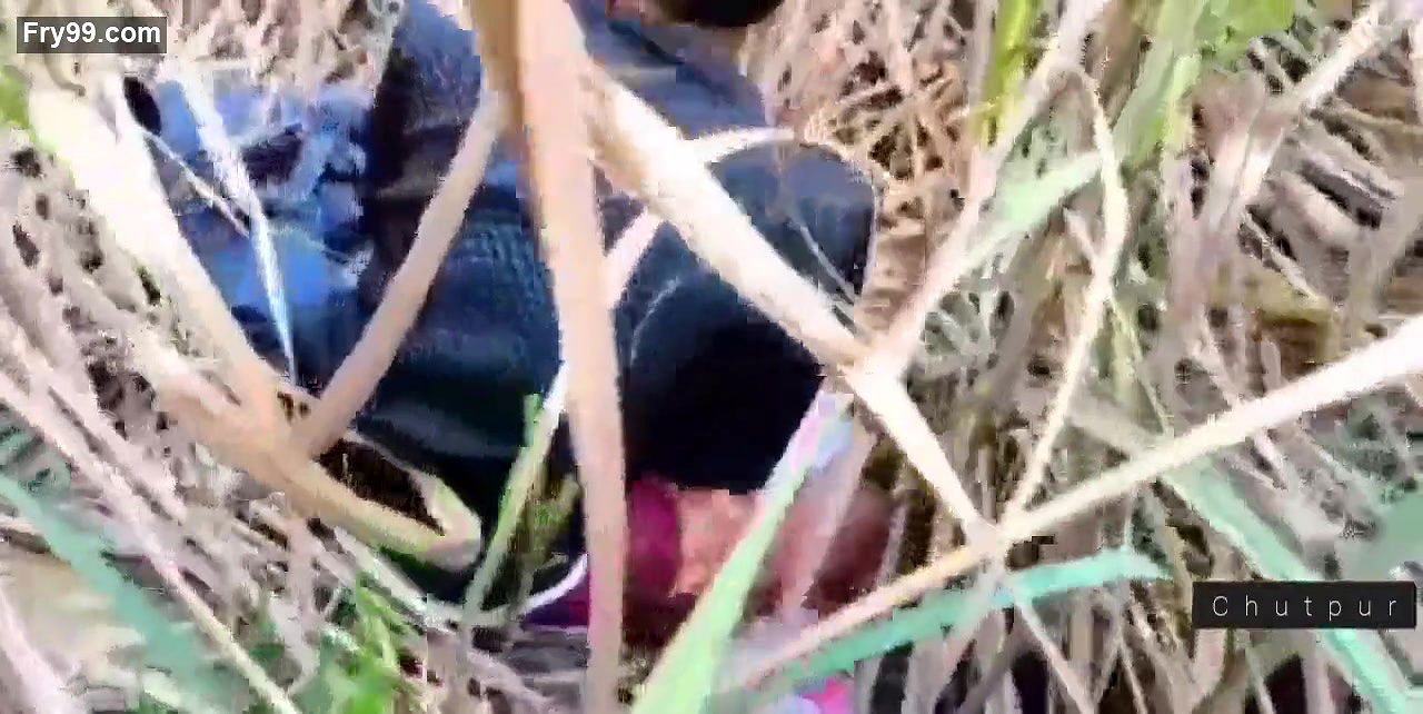 Fuck neighbor cheating housewife in sugarcane field