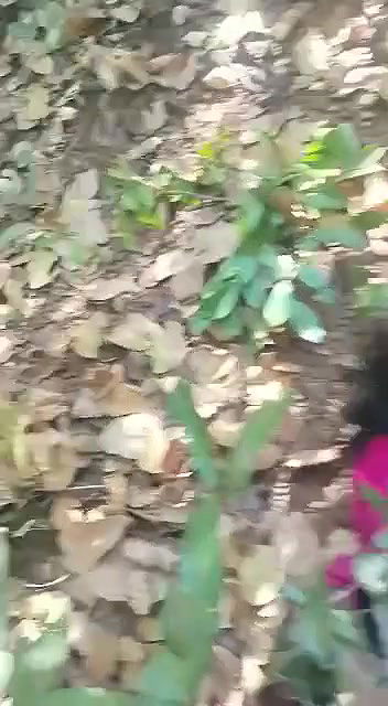 village Randi Boobs and Pussy Show