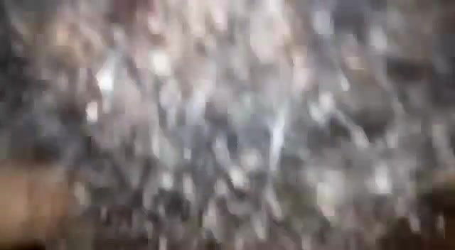 Bushy Indian pussy fucking MMS porn video