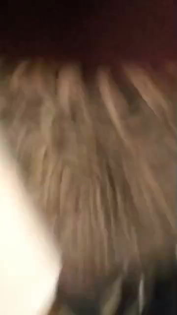 missoanry sex with gf