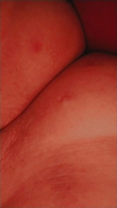 chubby orange pussy show