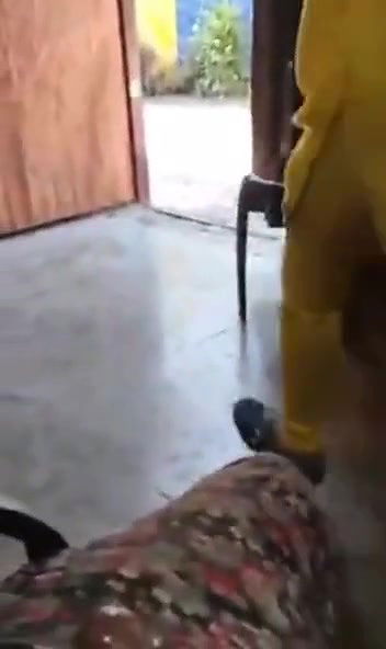 College lovers fucking