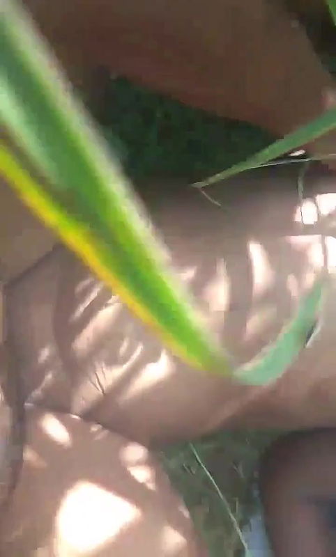 Desi Bhabi outdoors sex with a secret lover MMS