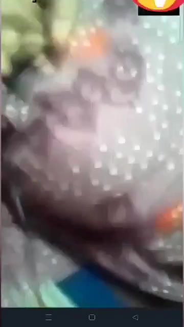 Desi Girl Shows  Pussy On Vc