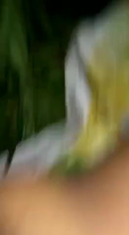 tight chikni chut wali ladki ki chudai