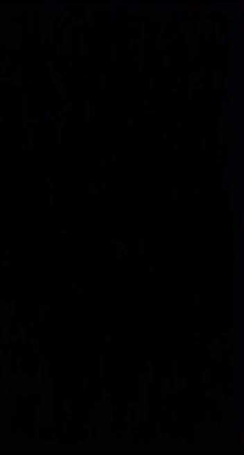 5 6084653505086230559