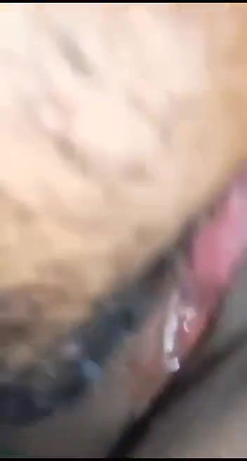 5 6084653505086230559