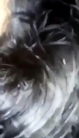 Booby chubby girl fucking with her boyfriend