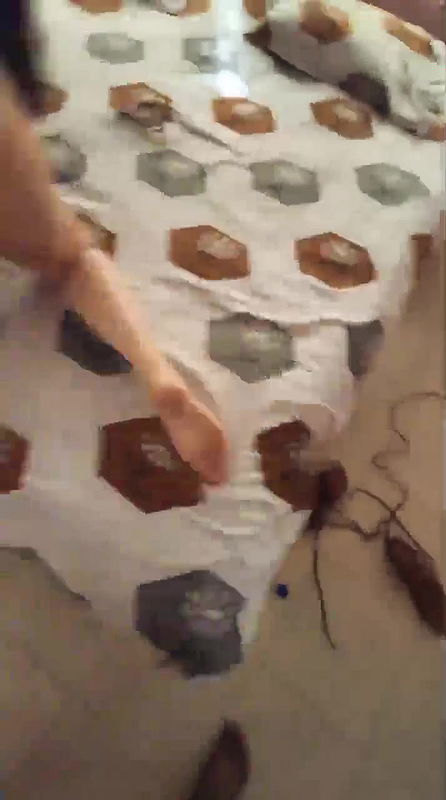 Indian Girl Hard Fucking With Boyfriend