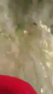 lund chusake khule mein sex