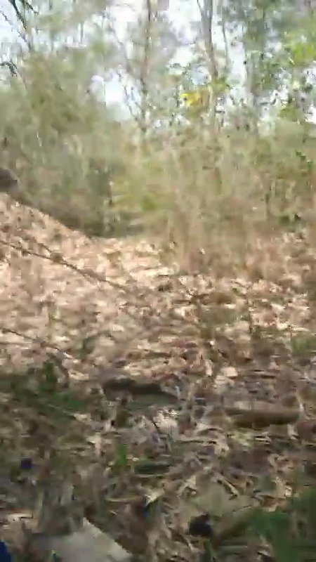 khade khade tribal bhabhi ko choda