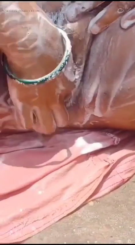 Bhabhi Outdoor Bathing