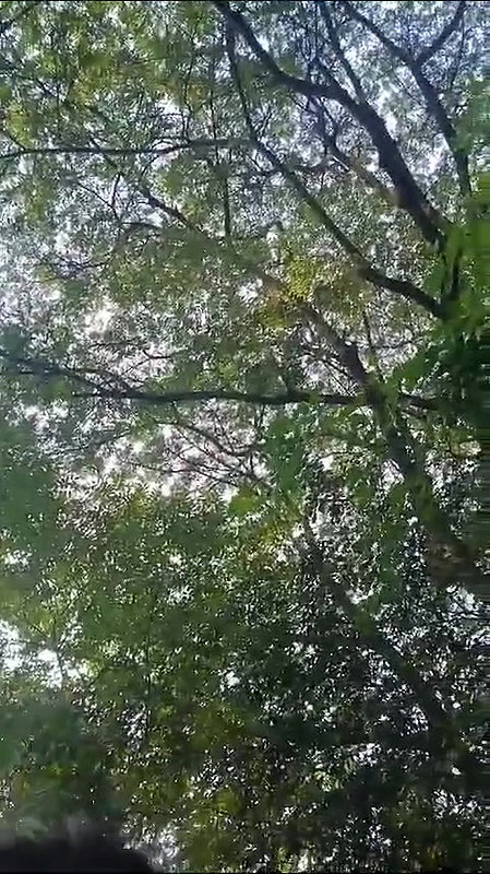 khule mein lund chuske sawari kri