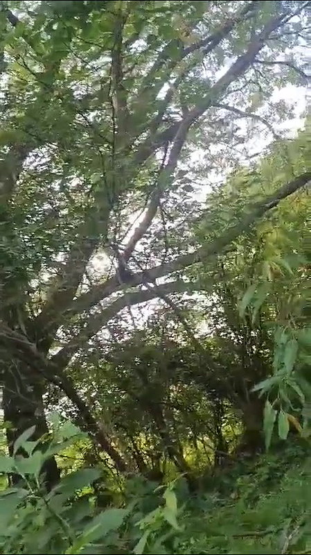 khule mein lund chuske sawari kri