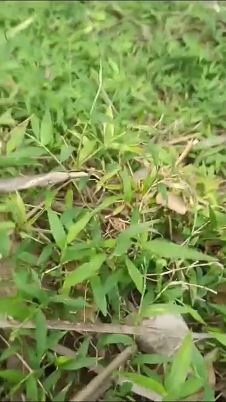 khule mein lund chuske sawari kri