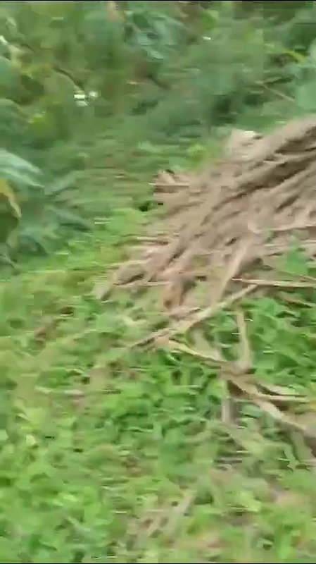 khule mein lund chuske sawari kri