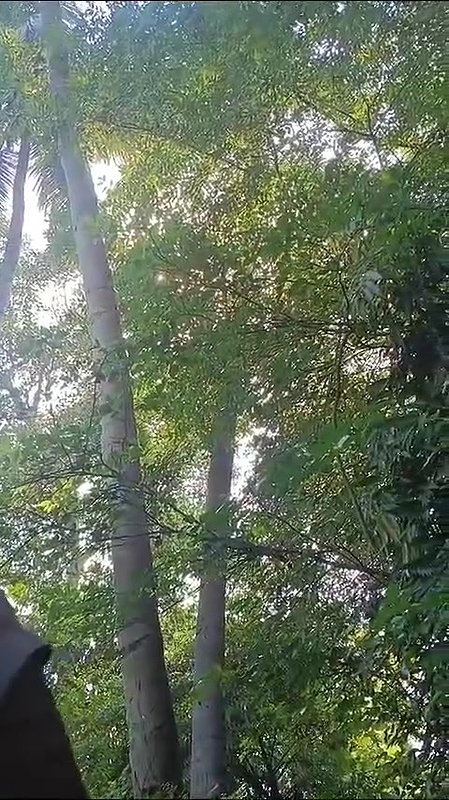 khule mein lund chuske sawari kri