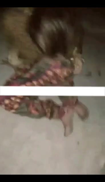 chodke chut mein mal giraya