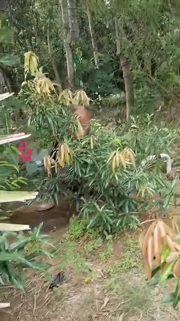 pump set romance outdoor