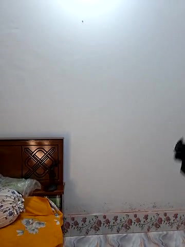 Sexy Girl Teasing with Boobs show