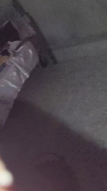 video 20260320 154529