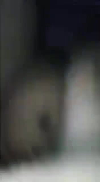 Desi Bhavi Ne Raat Me Dewar Ka Land Chusi Uske Baad Hash Hash Ka Apni Chut Ke Chudai Karwai