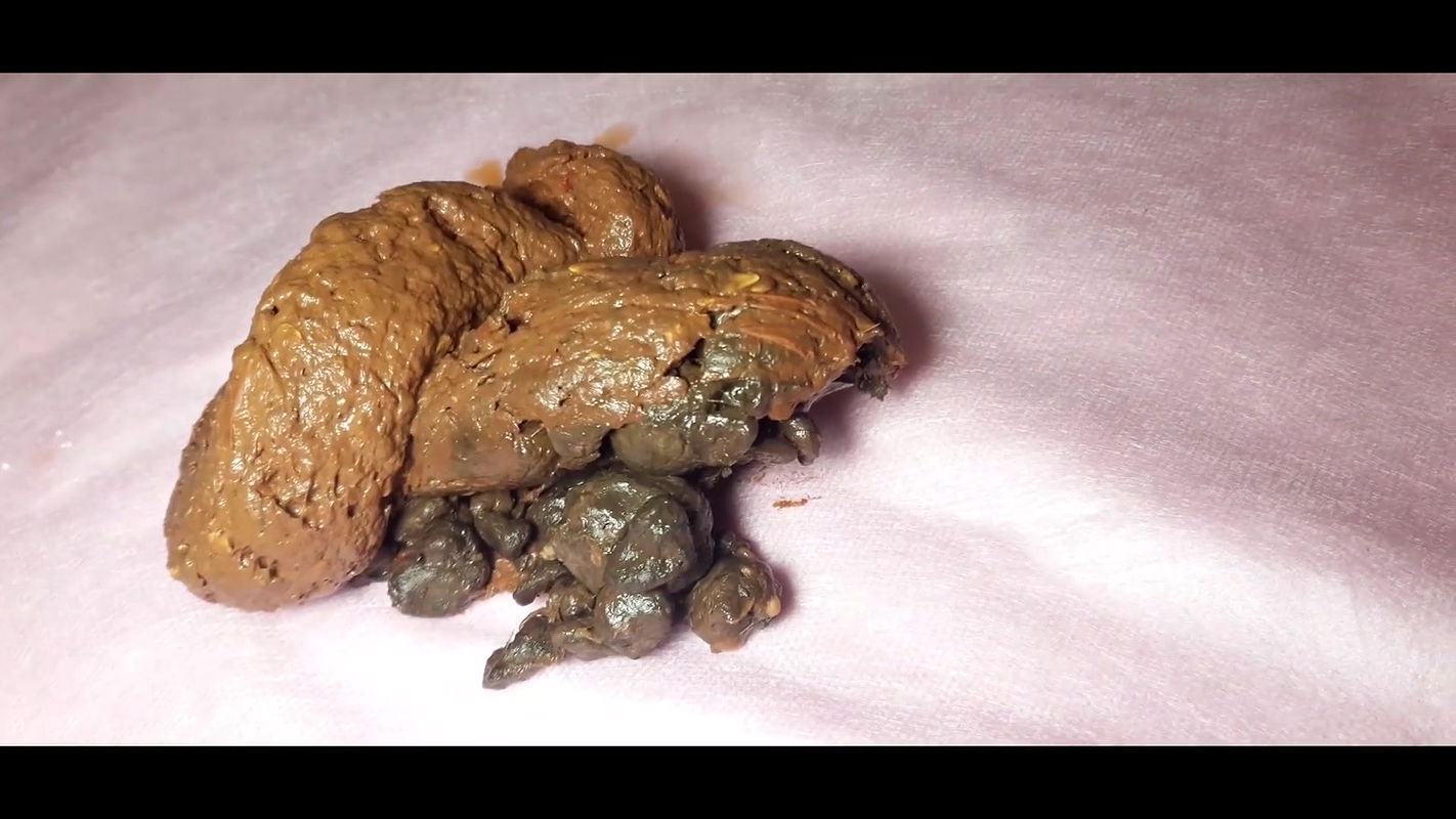 Orgasm from a big poop