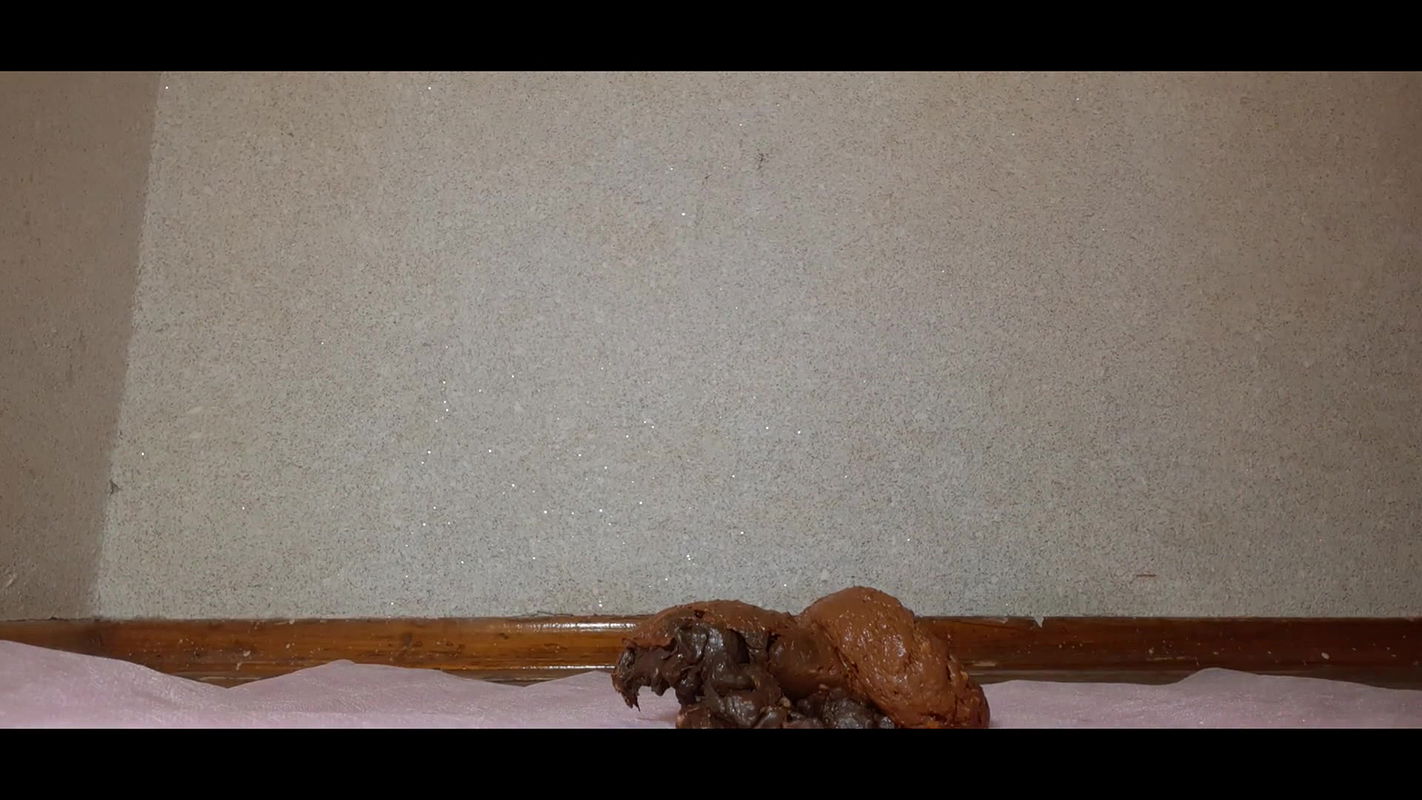 Orgasm from a big poop