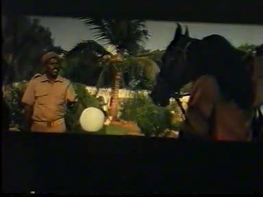 Ninnai Thathai Mudipaval Mallu Movie