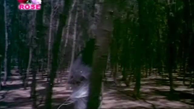 Raat Kaa Sundari B Grade Movie