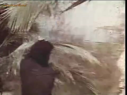 Beauty Palace Mallu Movie 1