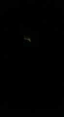 Unsatisfied Village Bhabi Masturbating