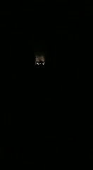 Unsatisfied Village Bhabi Masturbating
