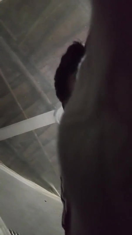 bigass married village bhabi