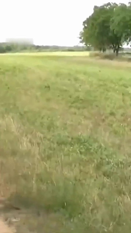 Kathmandu girl enjoys roaming naked in Nepali x video