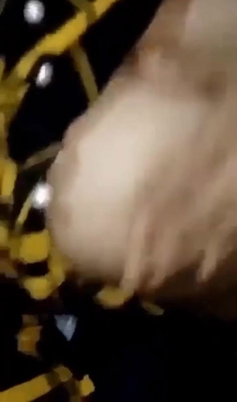 Busty MILF Lavisha Cheating on Her Boyfriend