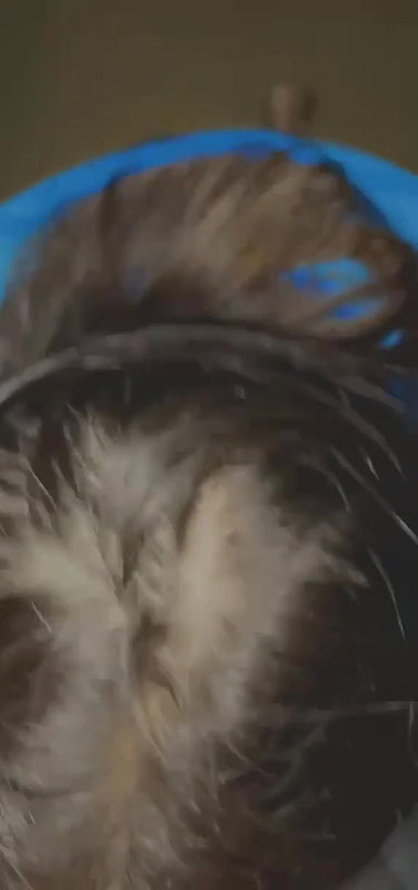 boob dikhake lund chusi