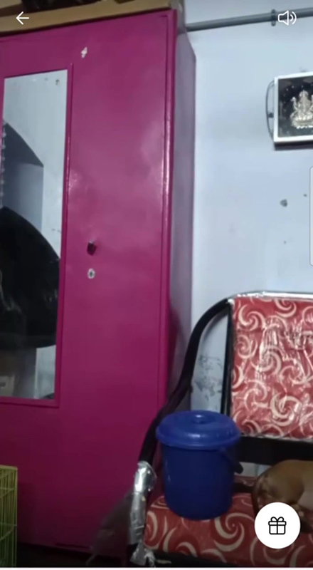 11z9yr25   Lulustream mp4 f