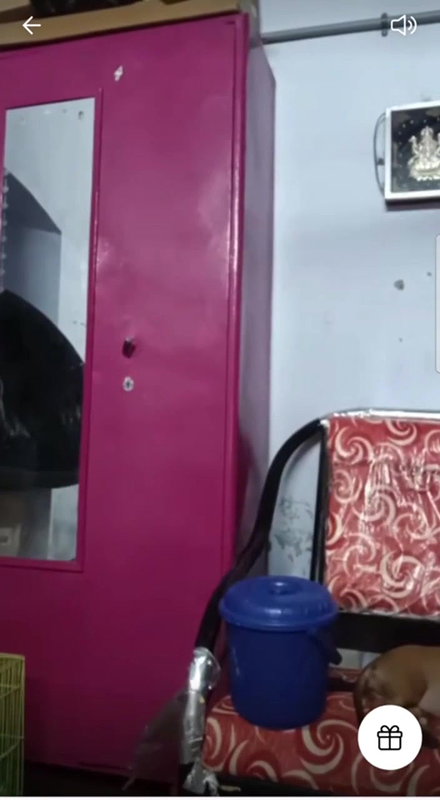 11z9yr25   Lulustream mp4 f