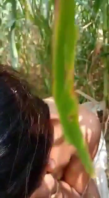 ganee ki khet mein nangi bahbhi