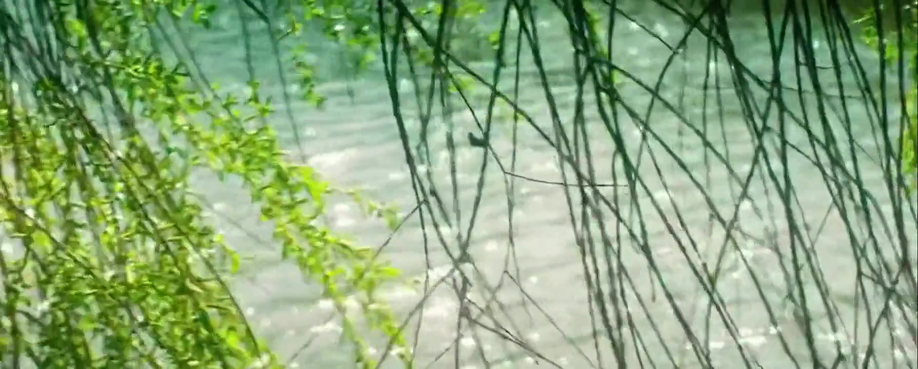 Rosamund Pike   Radioactive