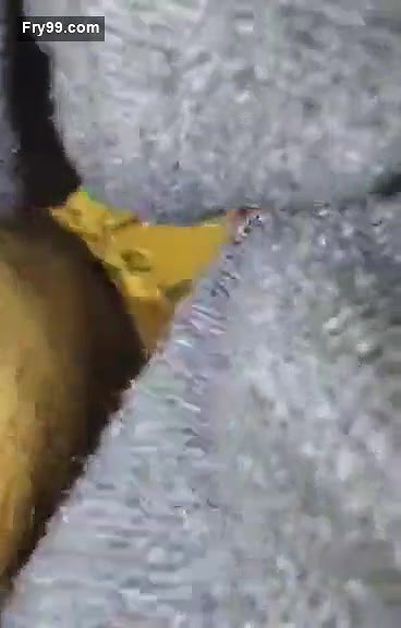 Desi sexy sucker