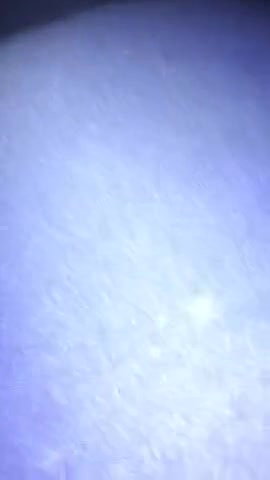 Punjabi Bhabhi Ki Aah Nikal Dil Uske sex